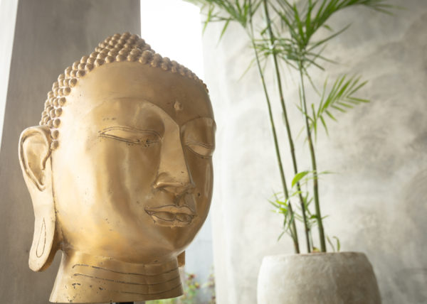 Villa ABSOLU - Vue du Bouddha dans le salon